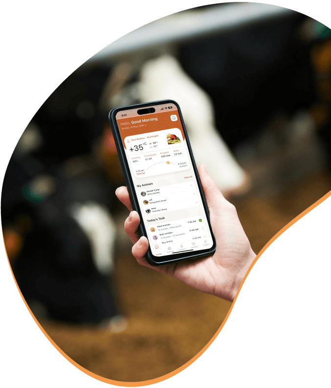 Gobadi mobile application dashboard preview
